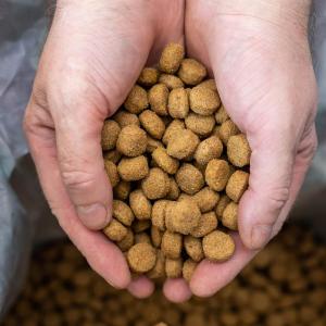 icon Wines & Alcohol Drinks